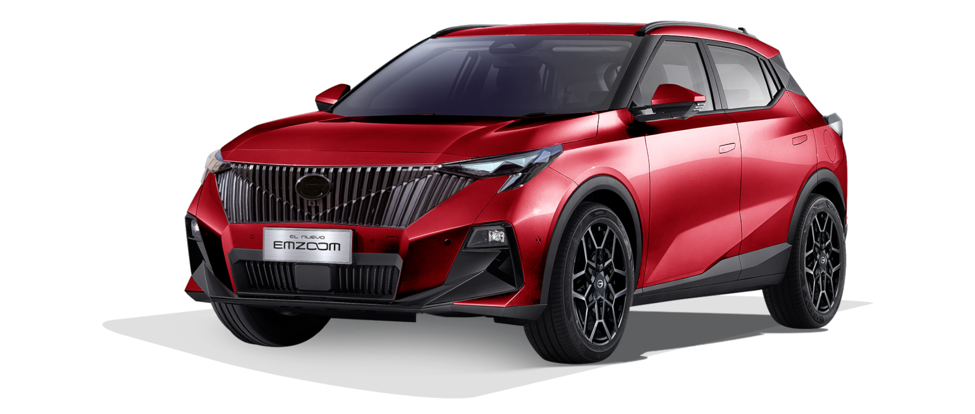 EMZOOM - GAC Chihuahua in Chihuahua Chihuahua