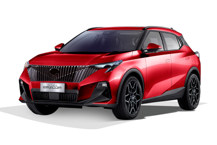 EMZOOM - GAC Chihuahua in Chihuahua Chihuahua