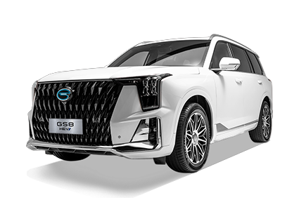 GS8 HEV - GAC Chihuahua in Chihuahua Chihuahua